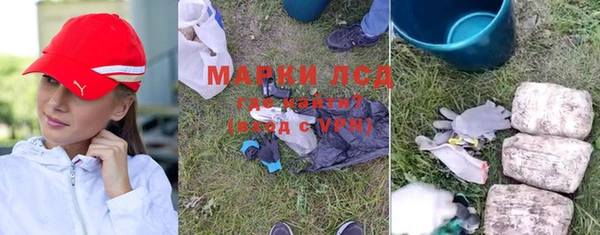apvp Надым