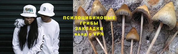 сатива Михайлов