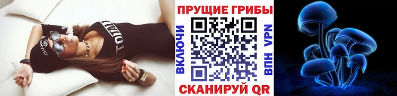 Псилоцибиновые грибы Psilocybe  закладки  Избербаш 