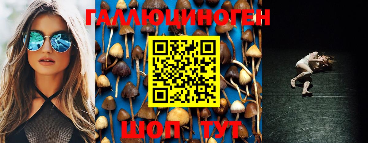 Псилоцибиновые грибы мухоморы Избербаш